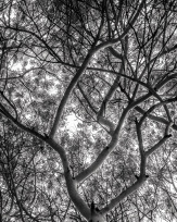 Stephan-Redel-0610-714-2556