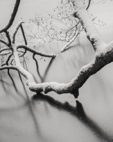 Stephan-Redel-0611-704-0339