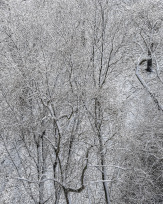 Stephan-Redel-0612-641-1561