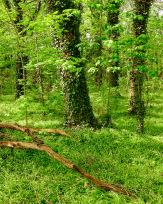 Stephan-Redel-0614-657-3436