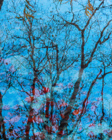 Stephan-Redel-0616-930-02336