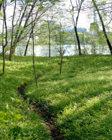 Stephan-Redel-0618-657-3403