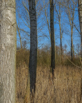 Stephan-Redel-0620-774-09945