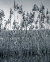 Stephan-Redel-0621-774-09950