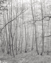 Stephan-Redel-0624-757-07945