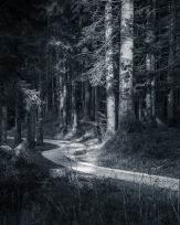 Stephan-Redel-0633-765-1960