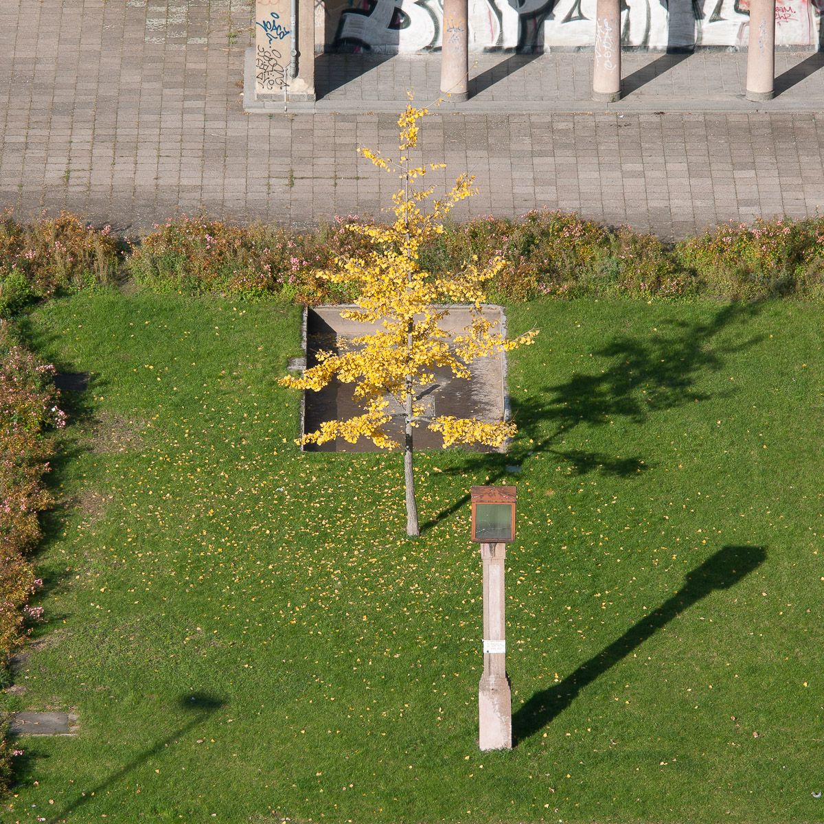 Stephan-Redel-0067-522-4408