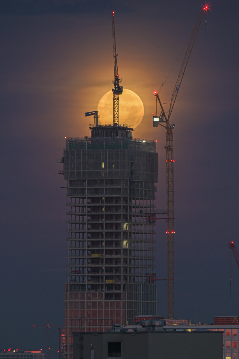 Stephan-Redel-0317-1162-445