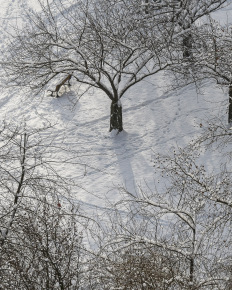 Stephan-Redel-0054-635-0822