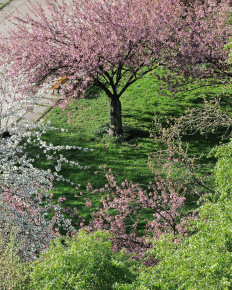 Stephan-Redel-0055-481-1276