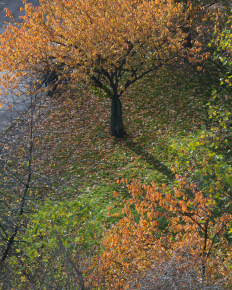 Stephan-Redel-0056-530-5857