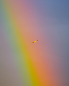 Stephan-Redel-0060-752-007-2