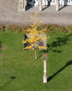 Stephan-Redel-0067-522-4408