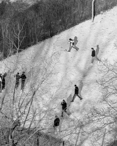 Stephan-Redel-0132-996-1179