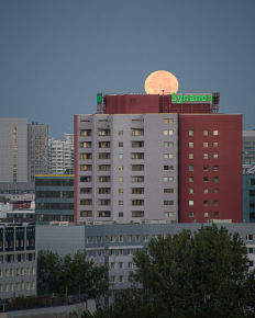 Stephan-Redel-0137-852-4539