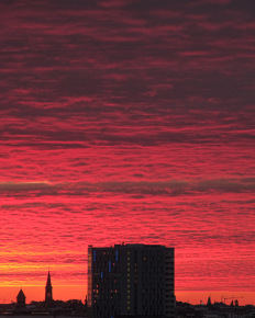 Stephan-Redel-0157-913-0978