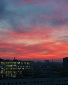 Stephan-Redel-0171-989-7024