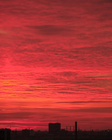 Stephan-Redel-0184-933-0407