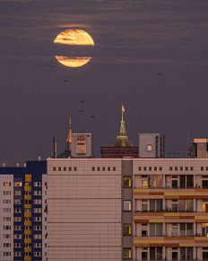 Stephan-Redel-0213-1118-1486