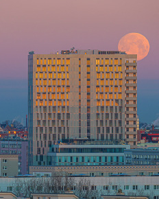 Stephan-Redel-0214-1125-3382