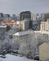 Stephan-Redel-0214-460-1518