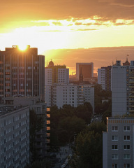 Stephan-Redel-0235-796-1101