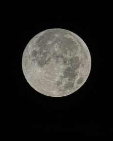 Stephan-Redel-0254-1118-1454