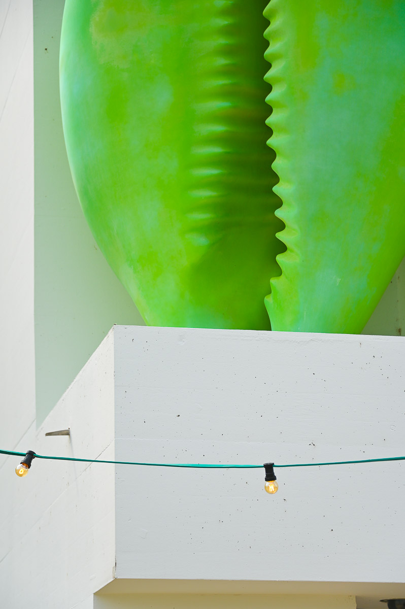 Stephan-Redel-0014-1064-2419