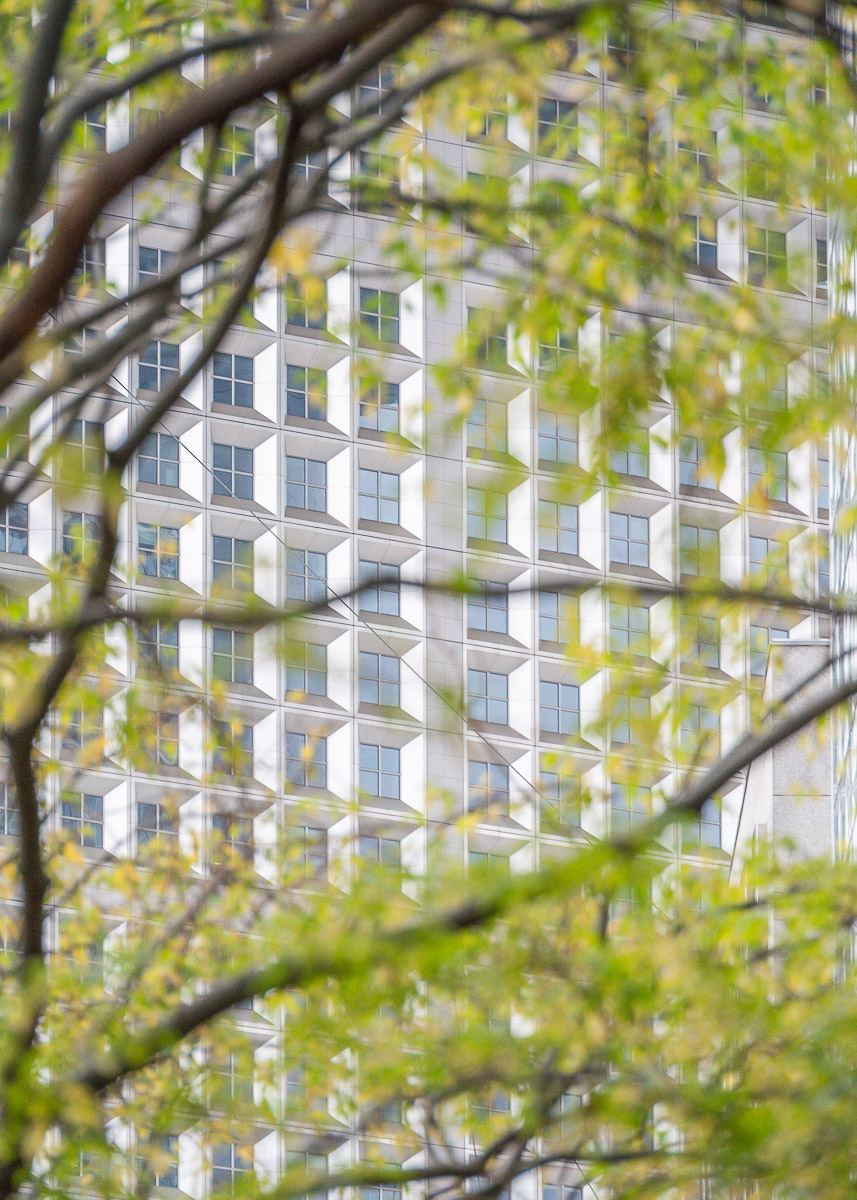 Stephan-Redel-0050-1119-2900