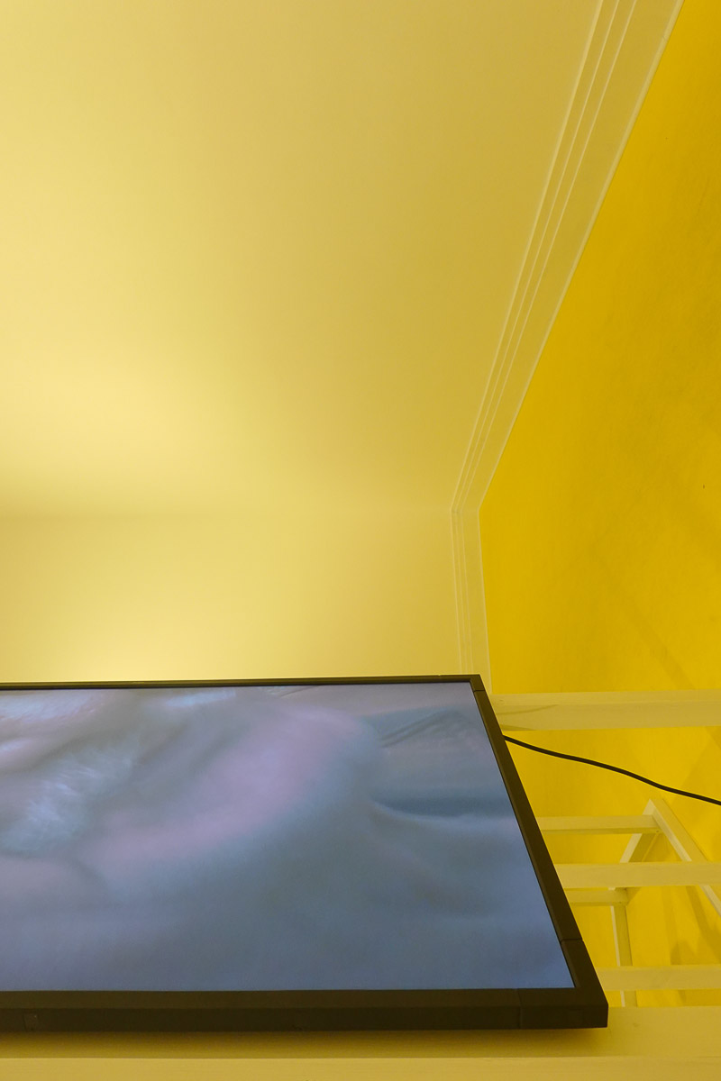 Stephan-Redel-0083-1028-07158