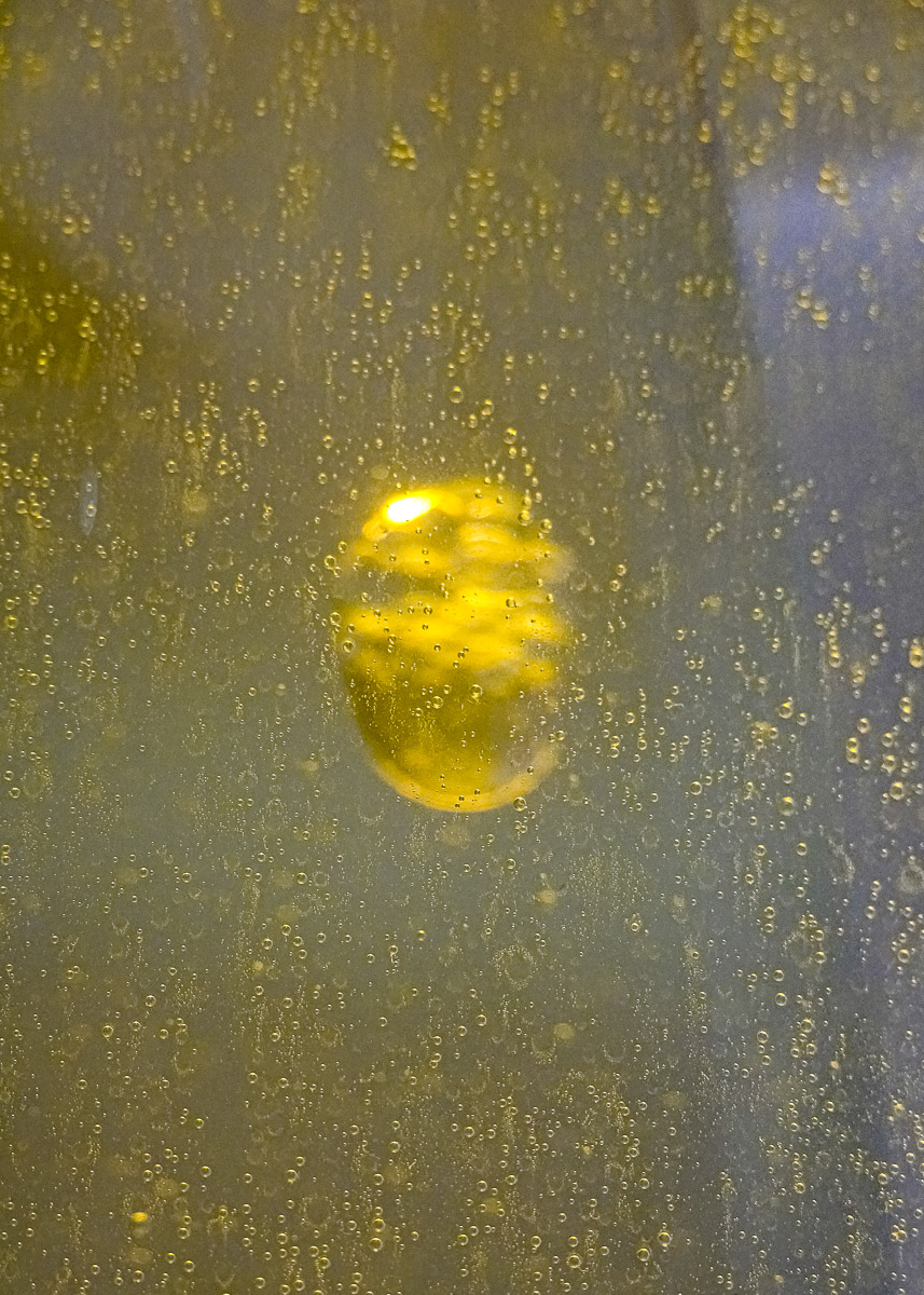 Stephan-Redel-0087-1112-06847