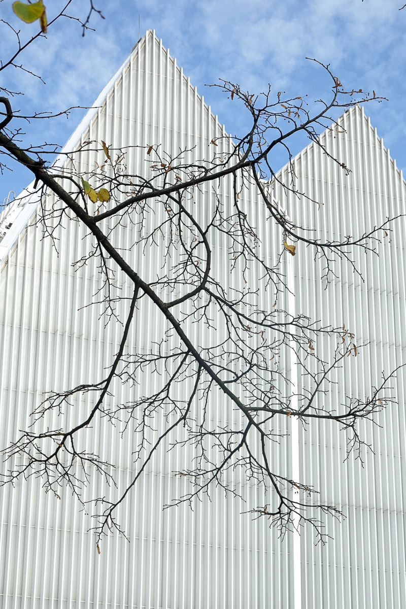 Stephan-Redel-0092-1028-0298