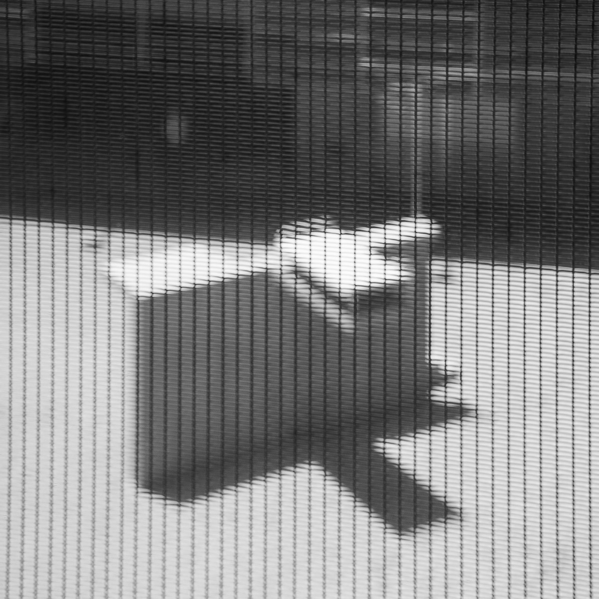 Stephan-Redel-0099-790-0161