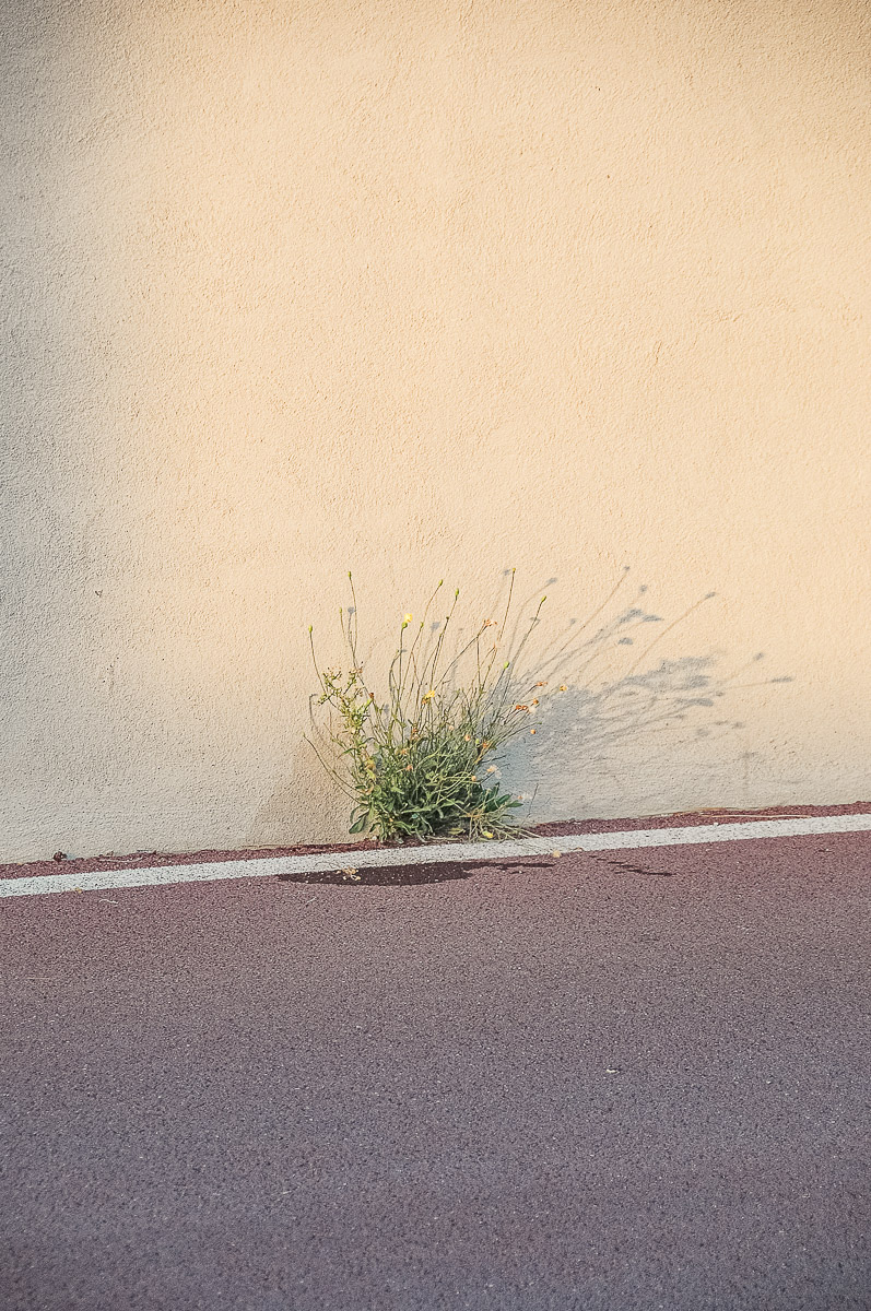 Stephan-Redel-0159-1072-0587