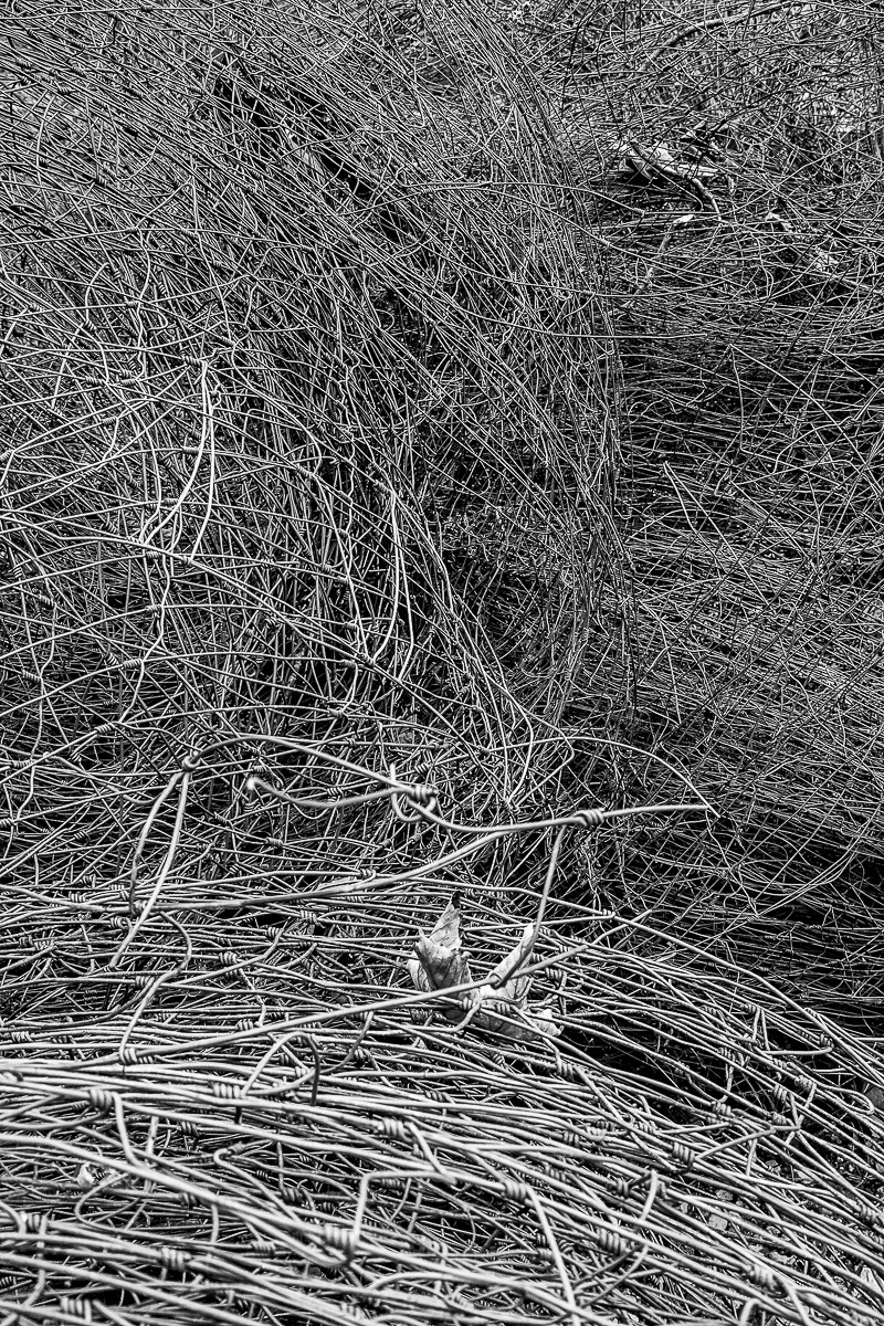 Stephan-Redel-0168-1074-03173