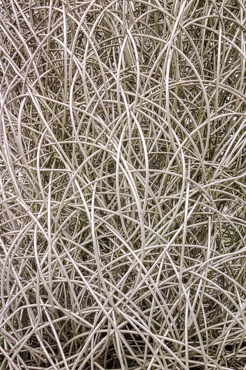 Stephan-Redel-0176-498-2449