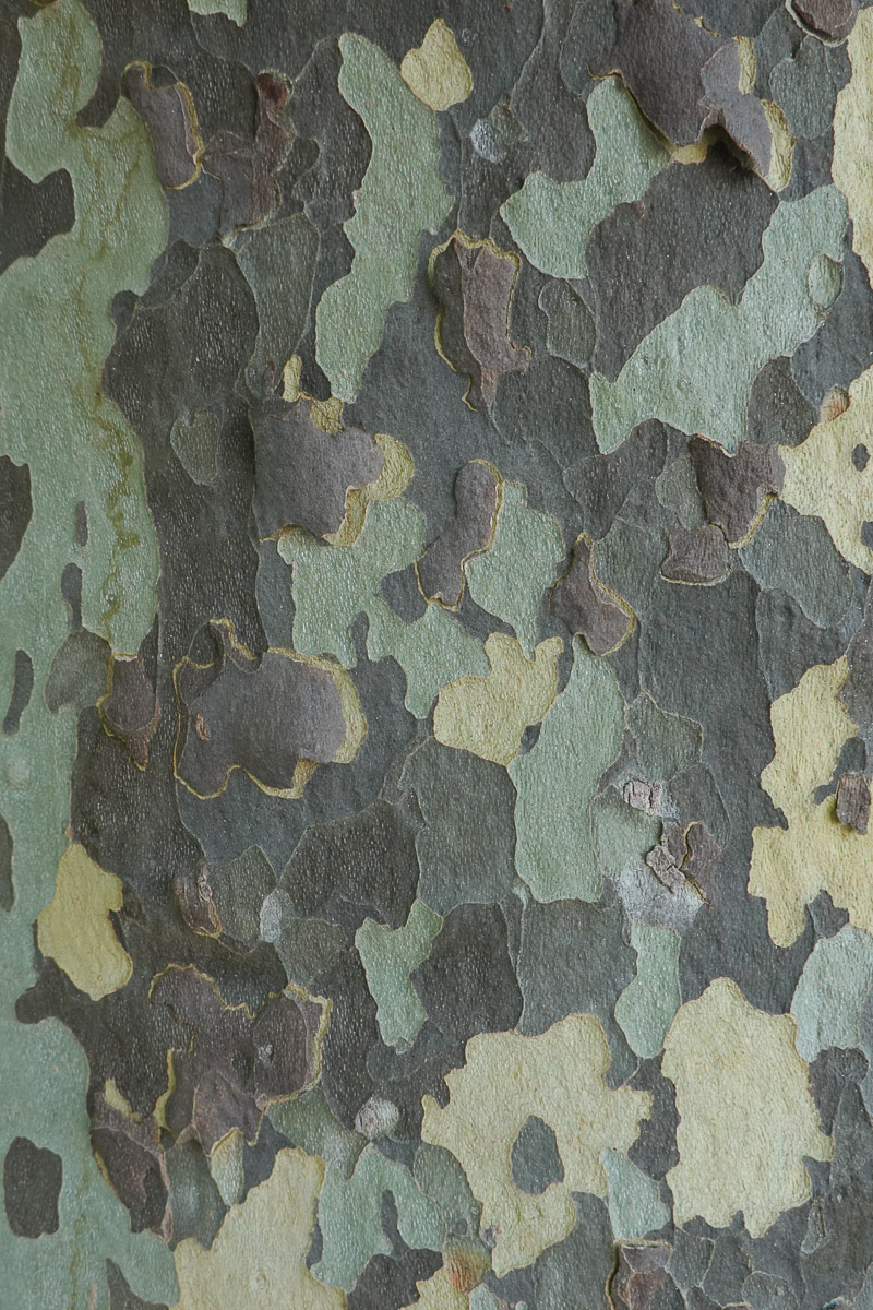 Stephan-Redel-0244-1018-0143