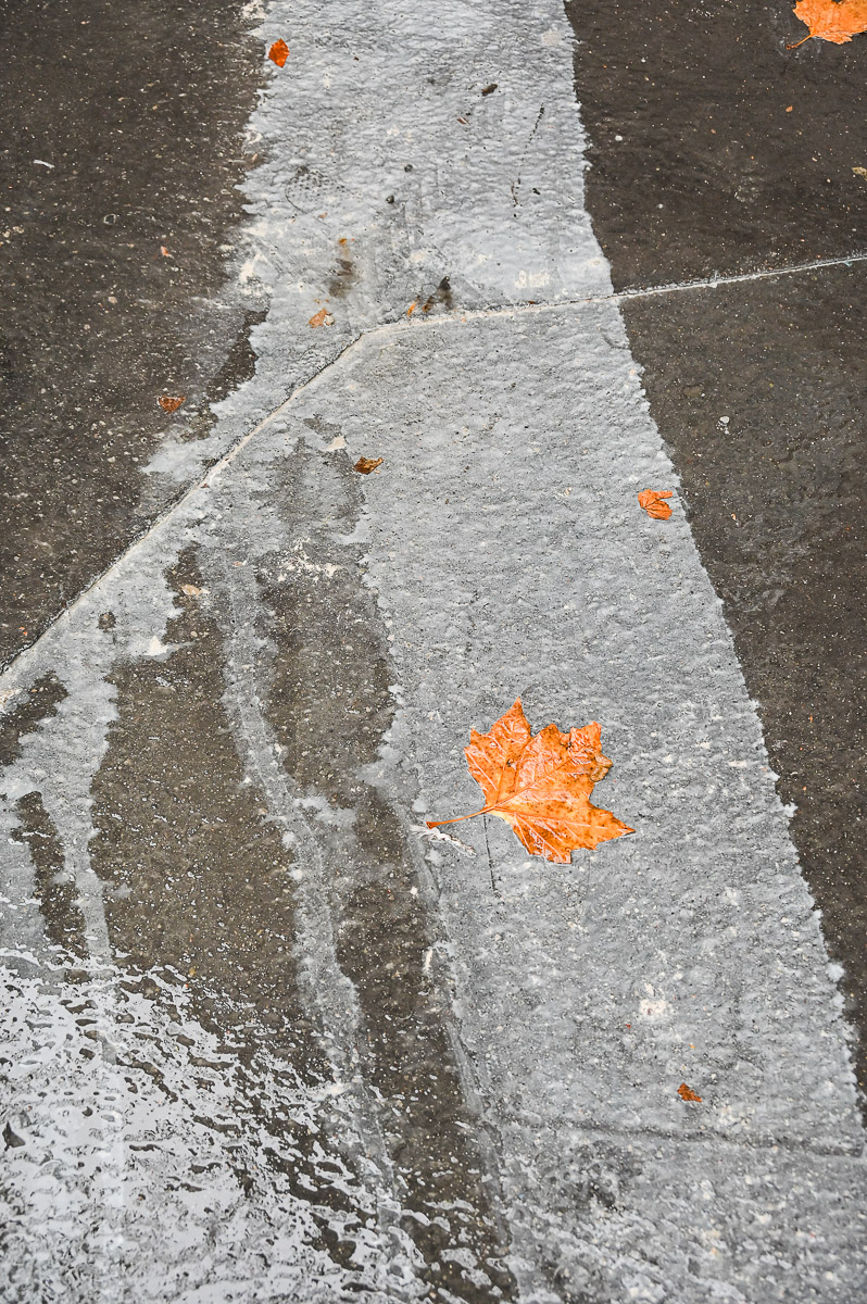 Stephan-Redel-0247-1029-3623