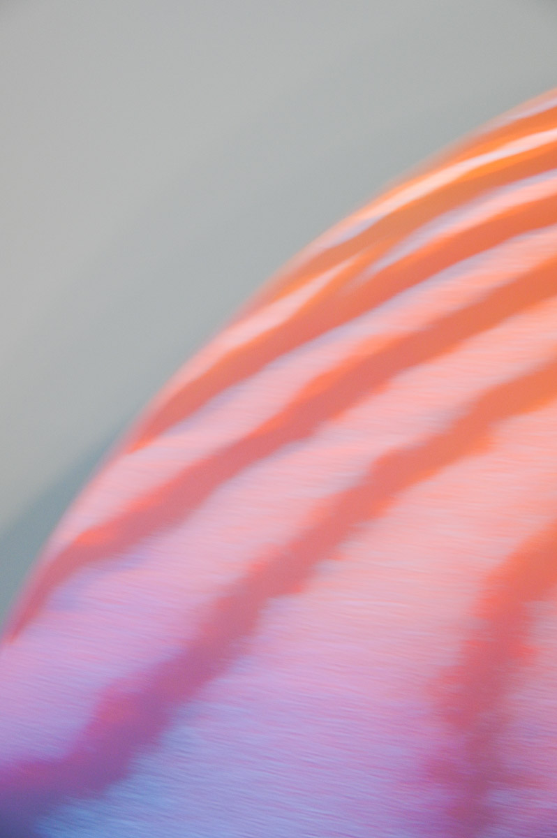 Stephan-Redel-0257-1012-7195