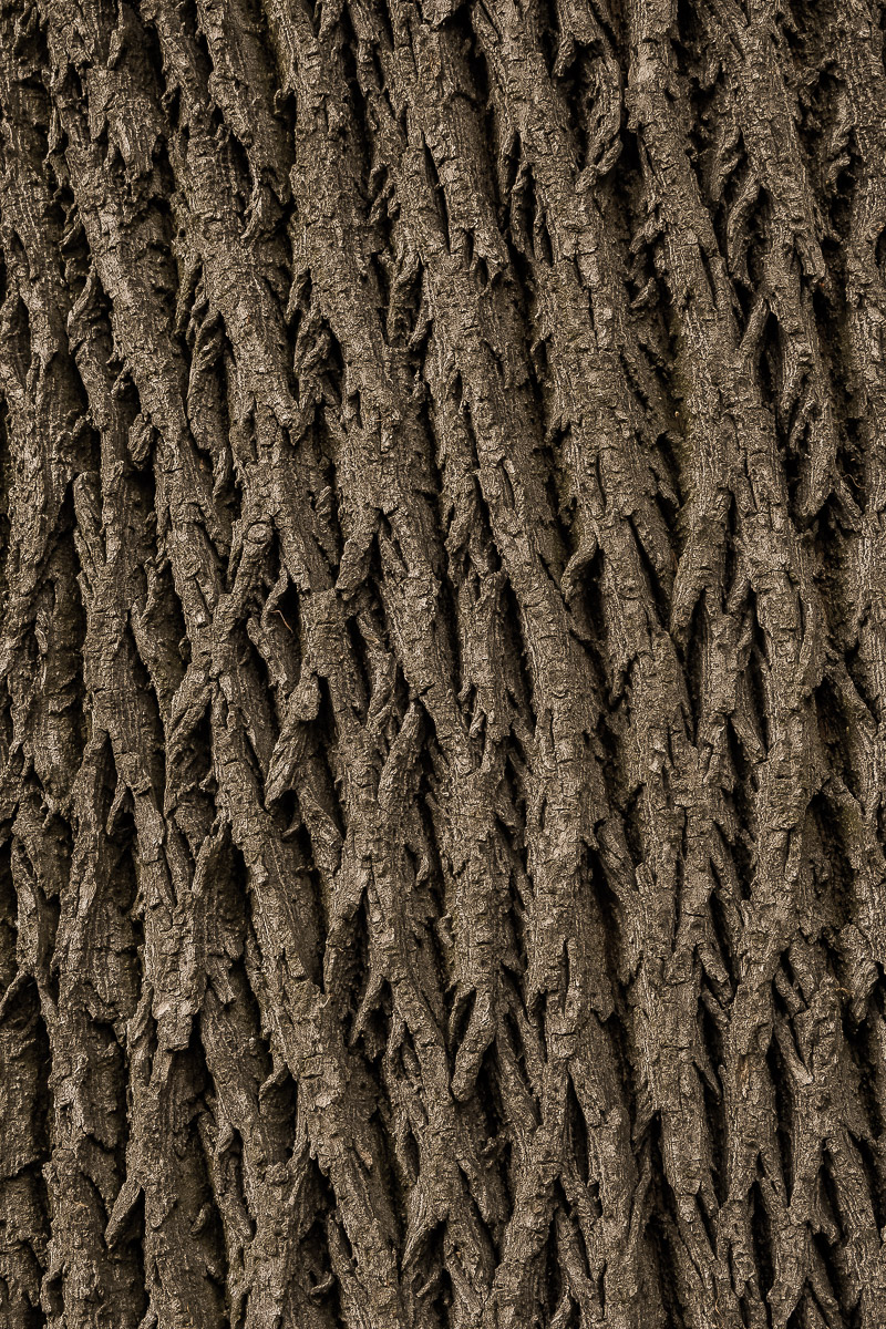 Stephan-Redel-0273-1009-01651