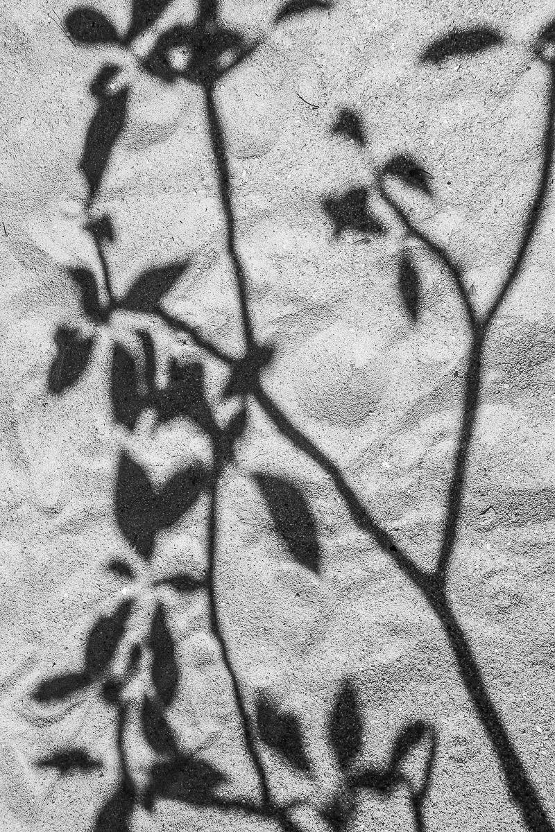 Stephan-Redel-0298-780-2592