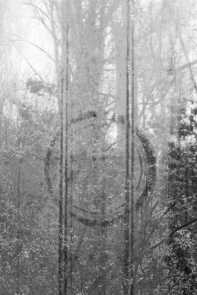 Stephan-Redel-0299-1004-519