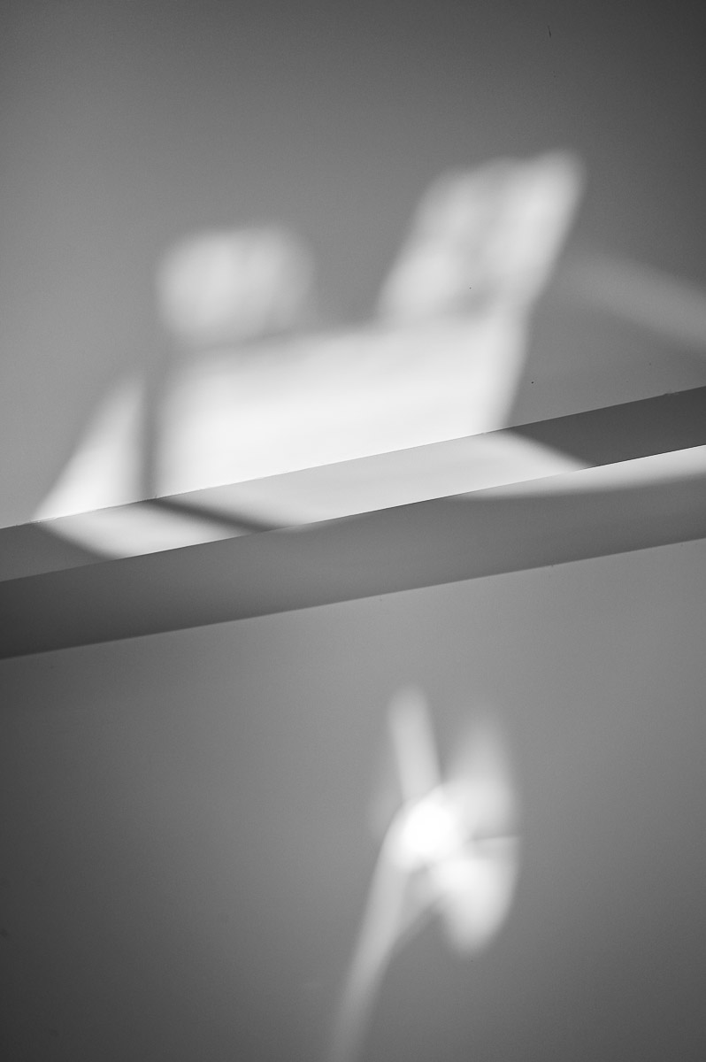 Stephan-Redel-0330-1029-2639