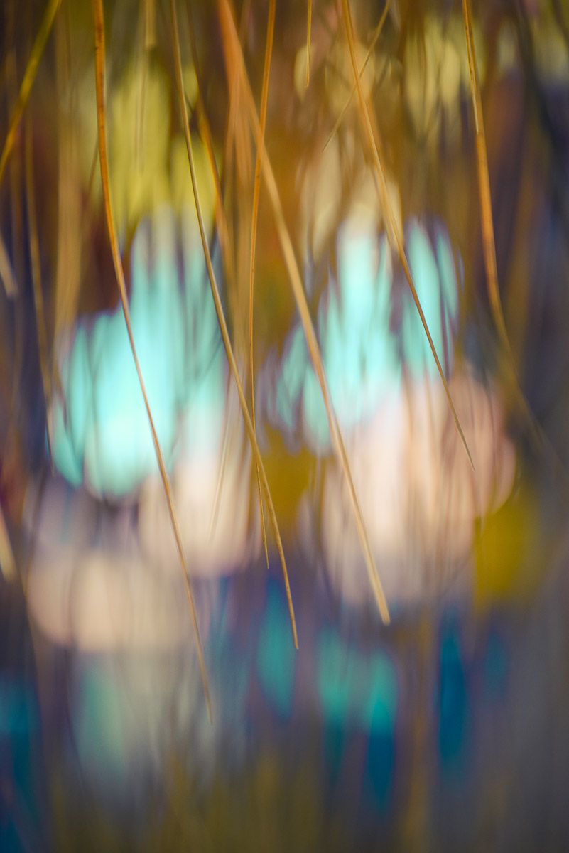 Stephan-Redel-0367-896-0358