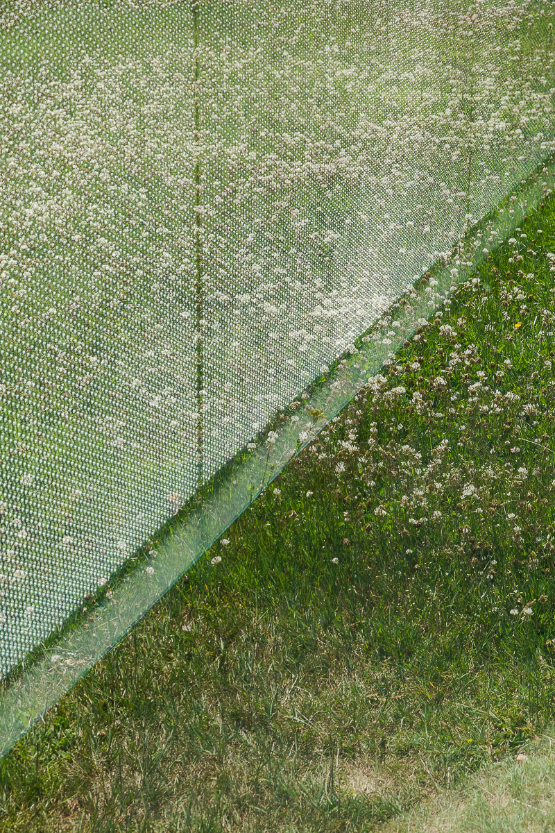 Stephan-Redel-0369-1011-01988