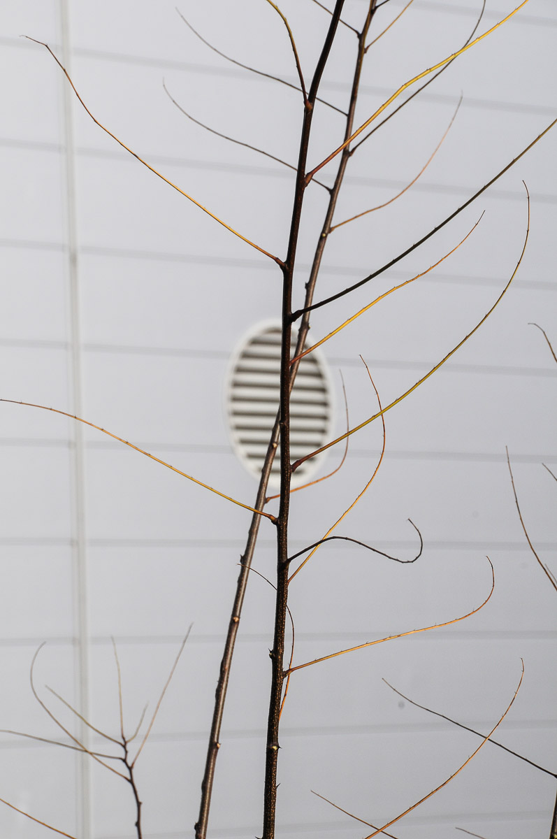 Stephan-Redel-0386-382-6877