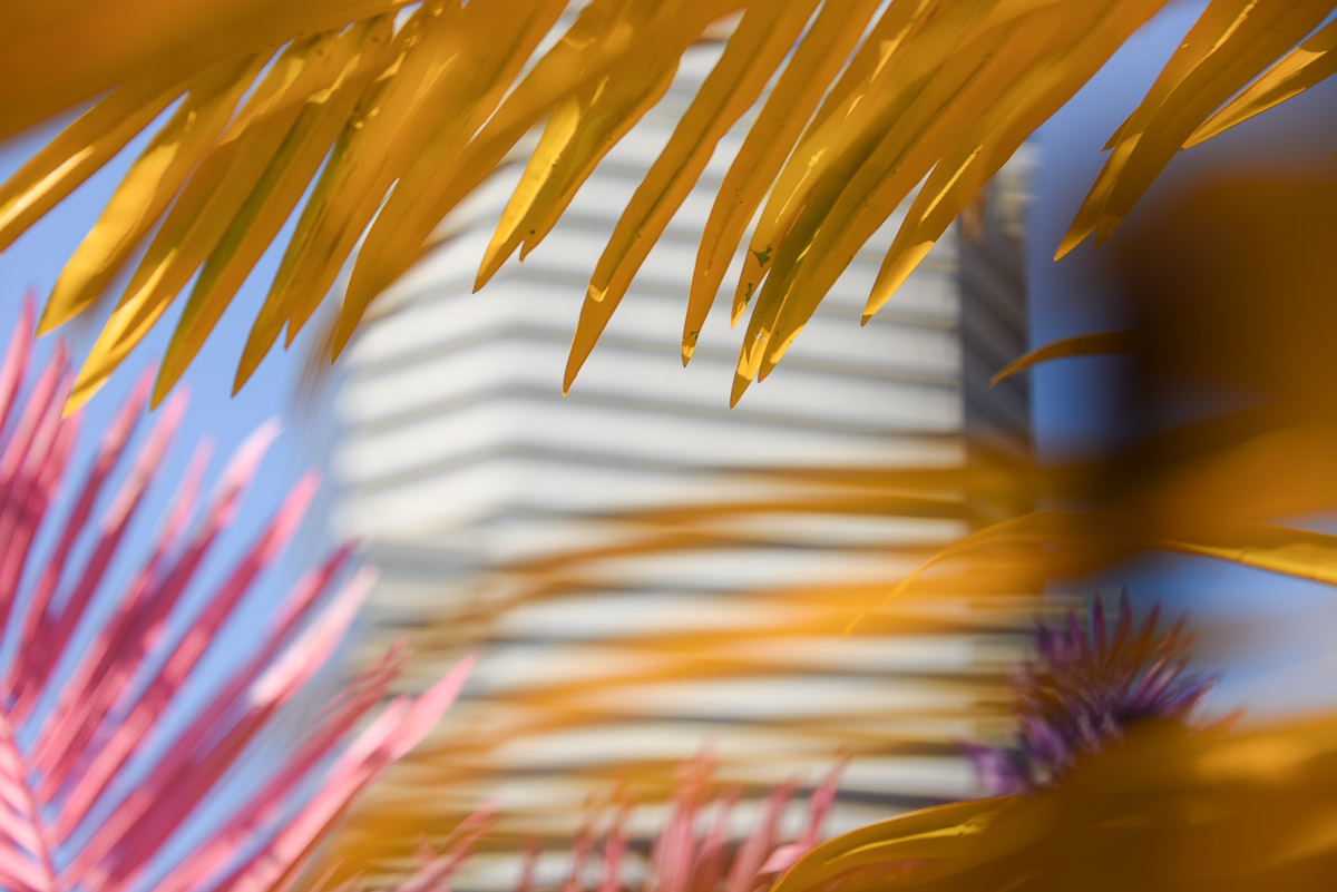 Stephan-Redel-0399-780-2143