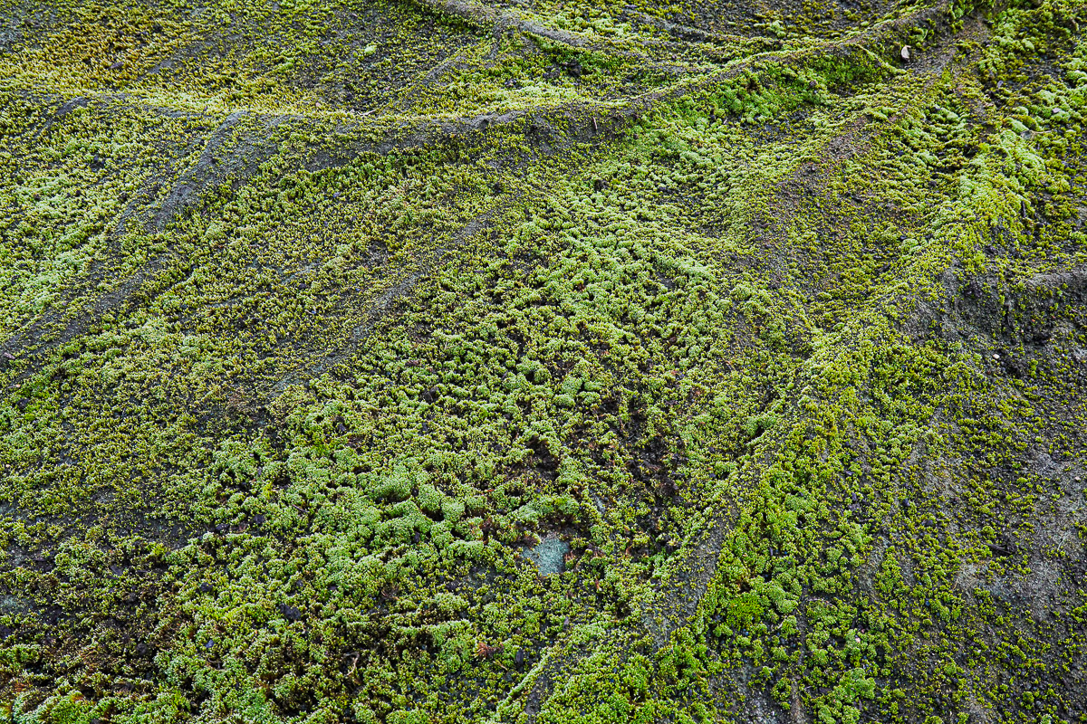 Stephan-Redel-0401-1071-116