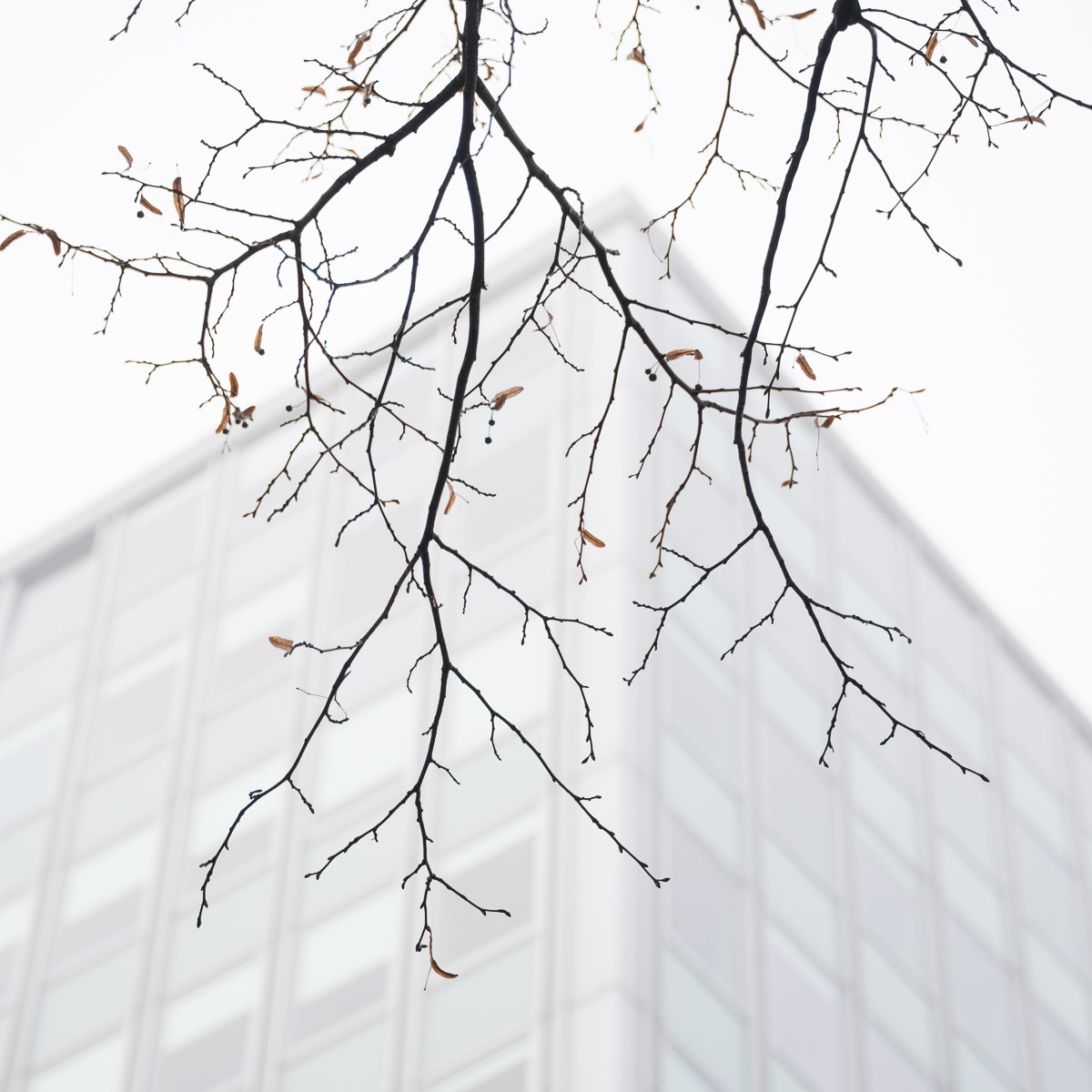 Stephan-Redel-0429-814-2189