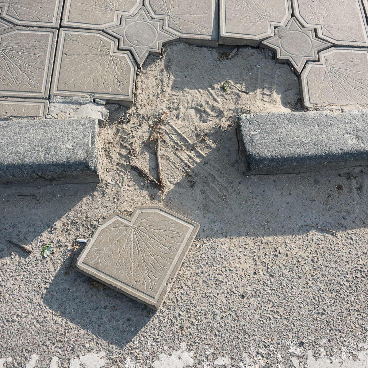 Stephan-Redel-0430-824-0502